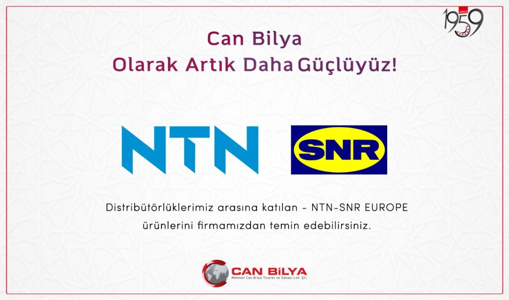 NTN-SNR Rulman
